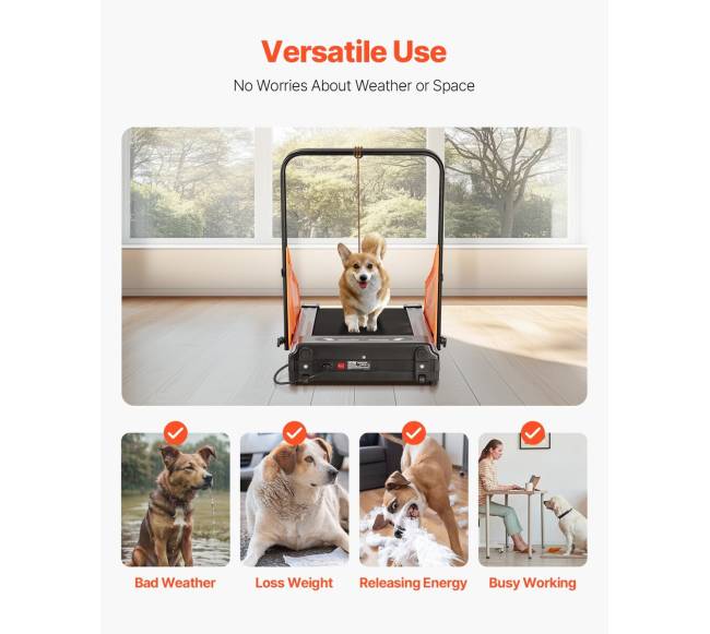 Šunų bėgimo takelis vidutinio dydžio šunims5