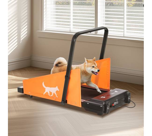 Šunų bėgimo takelis vidutinio dydžio šunims7