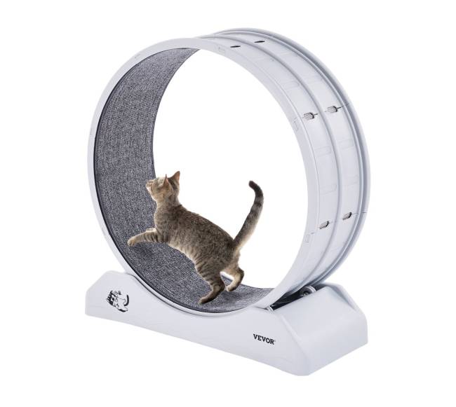 Vidaus kačių bėgimo ratas0