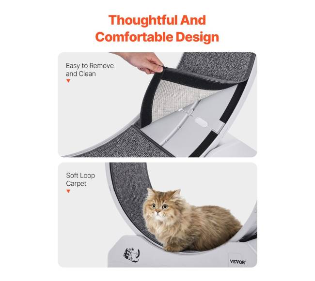 Vidaus kačių bėgimo ratas5