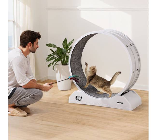 Vidaus kačių bėgimo ratas7