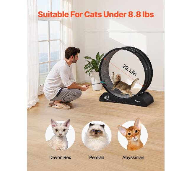 Katės bėgimo ratas patalpose, 80 cm, juodas3