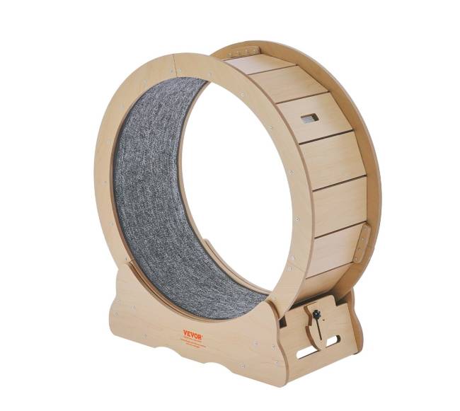 Didelis katės bėgimo takelis0