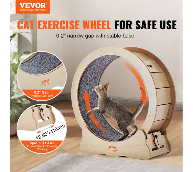 Didelis katės bėgimo takelis1