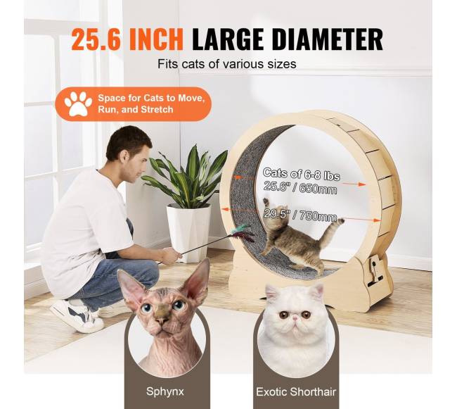 Didelis katės bėgimo takelis3