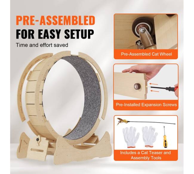 Didelis katės bėgimo takelis4