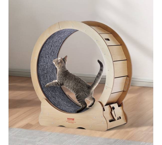 Didelis katės bėgimo takelis7