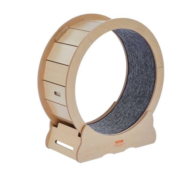 Didelis katės bėgimo takelis9