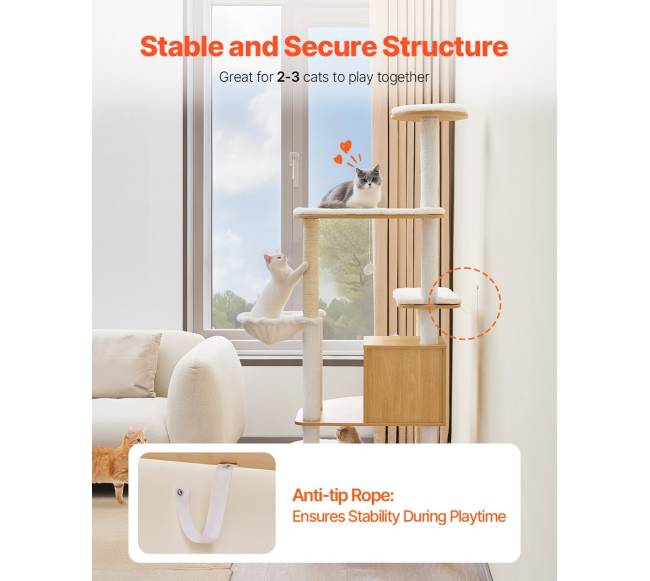 Didelis kačių draskyklė su daugybe aukštų5