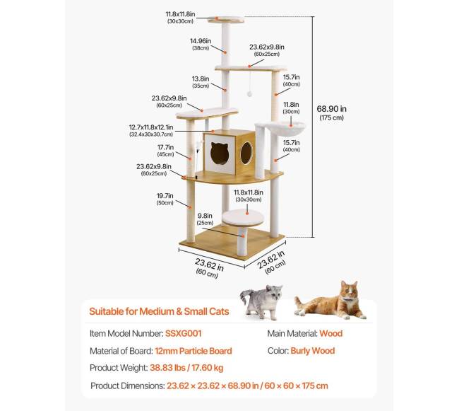 Didelis kačių draskyklė su daugybe aukštų6