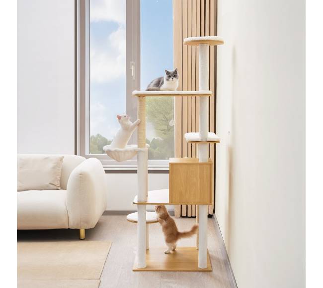 Didelis kačių draskyklė su daugybe aukštų7