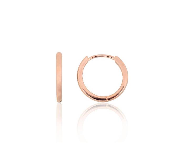 Sidabriniai auskarai su apvaliu segtuku0