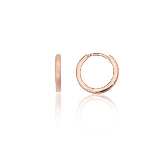 Sidabriniai auskarai su apvaliu segtuku0