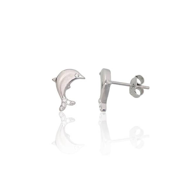 Sidabriniai auskarai –pusetai0