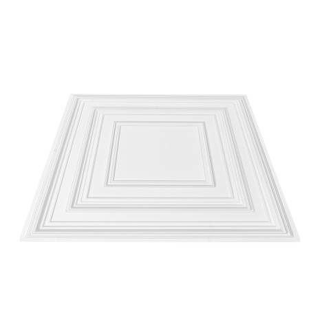 Lubų plytelės 12 vnt. PVC 60x60 cm0