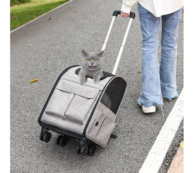 Katės pervežimo krepšys su ratukais7