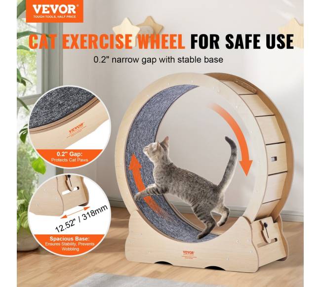 Katės bėgimo takelis vidaus sąlygoms1