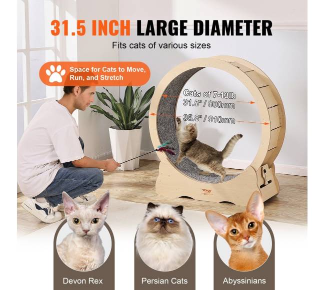 Katės bėgimo takelis vidaus sąlygoms3