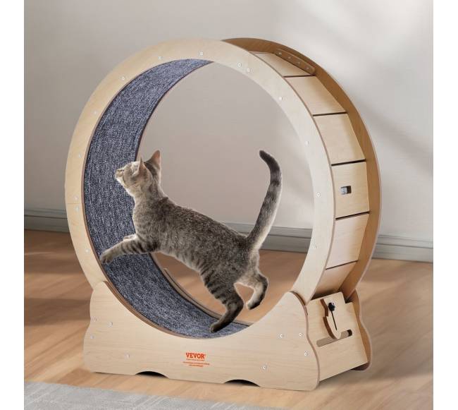 Katės bėgimo takelis vidaus sąlygoms7