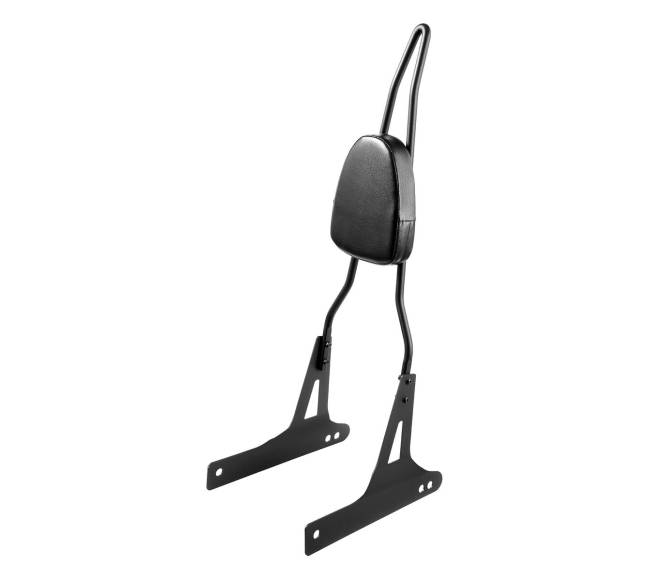 Harley-Davidson Dana motociklo atramėlė0