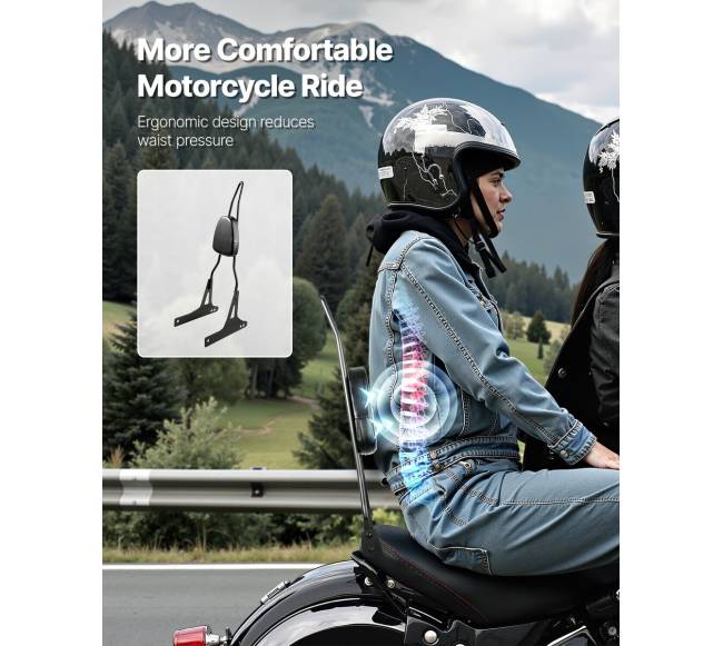 Harley-Davidson Dana motociklo atramėlė1