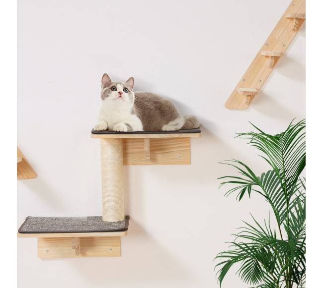 Sieniniai kačių lentynos su hamakų rinkiniu (7 dalys)7