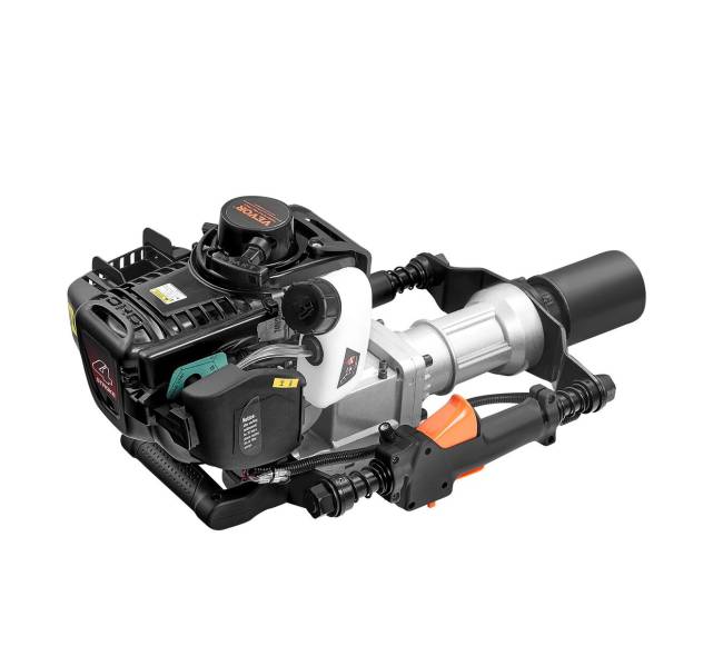 T formos benzininis kuolas su 2 galvomis10