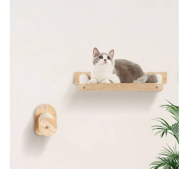 Sieniniai katės lentynėlės su 2 šokinėjimo stulpeliais7