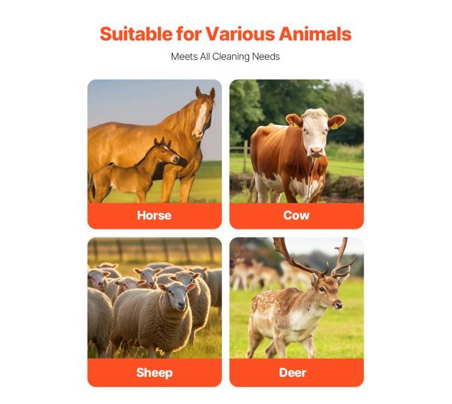 Gyvūnų draskymo šepetys arkliams, 6 vnt., 51 cm5