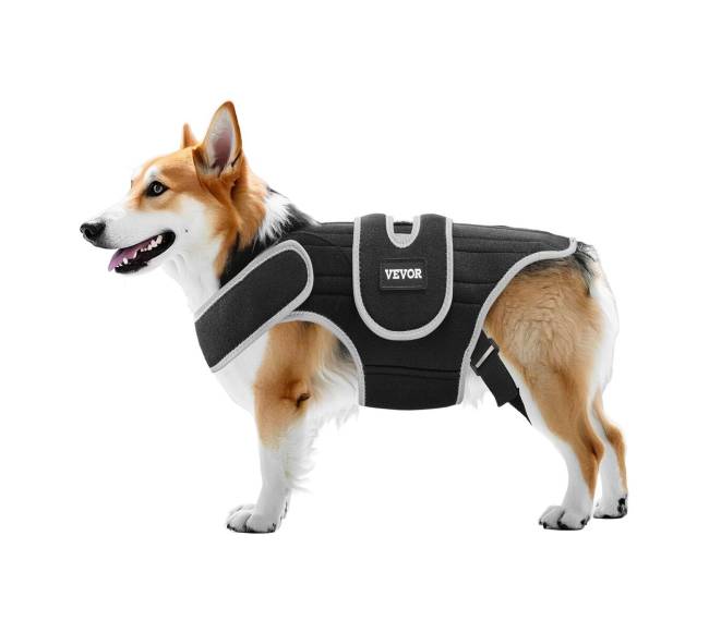 Reguliuojamas šuns nugaros diržas IVDD palengvinimui0