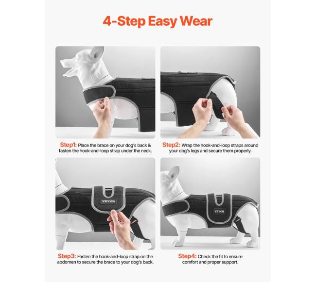 Reguliuojamas šuns nugaros diržas IVDD palengvinimui4