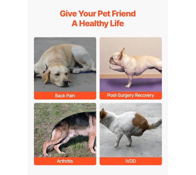 Reguliuojamas šuns nugaros diržas IVDD palengvinimui5