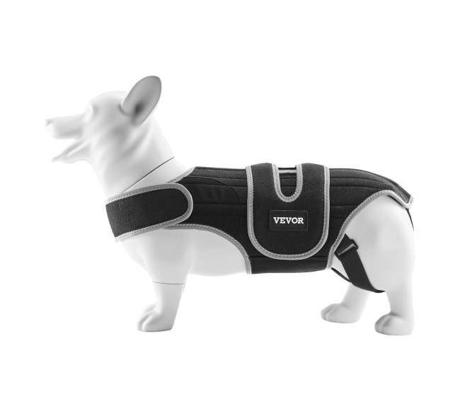 Reguliuojamas šuns nugaros diržas IVDD palengvinimui9