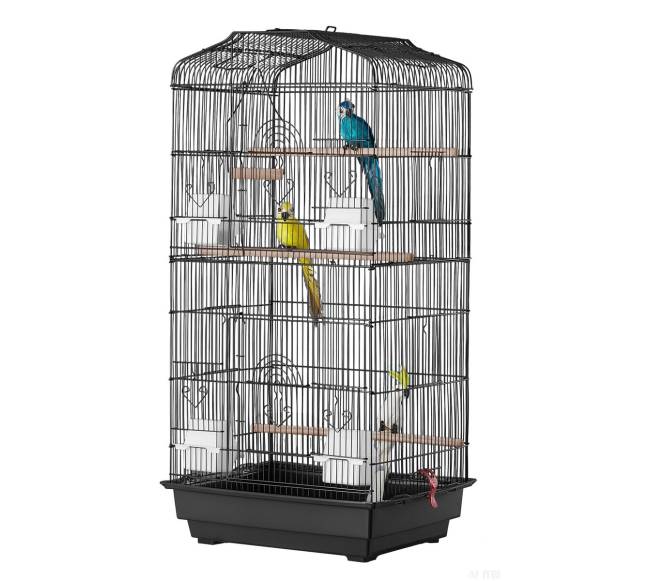 Paukščių skraidymo narvas papūgoms9