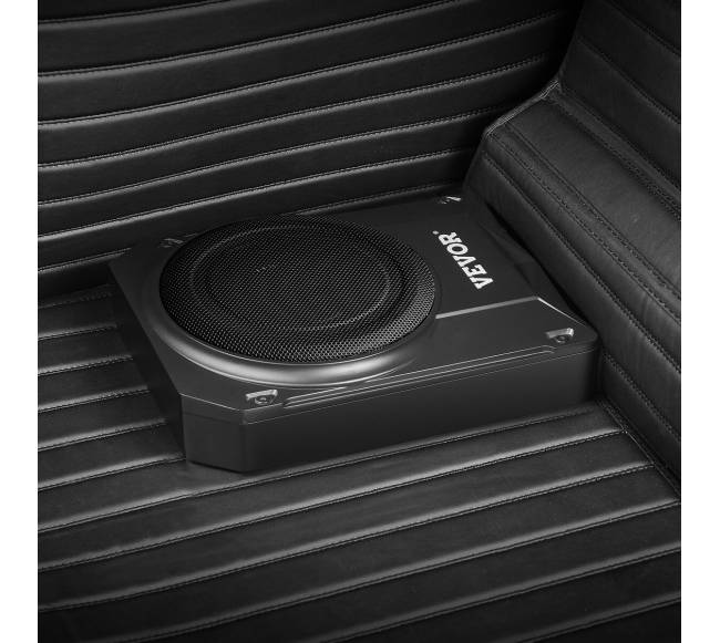 10 colių po sėdyne automobilio žemų dažnių garsiakalbis7