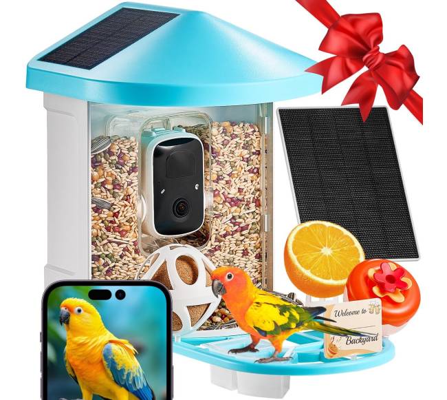 Išmanus paukščių lesykla su kamera ir AI0