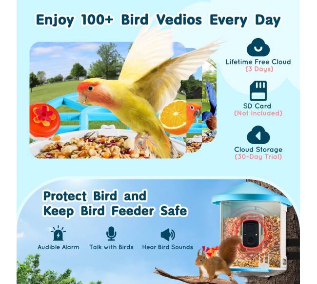 Išmanus paukščių lesykla su kamera ir AI2