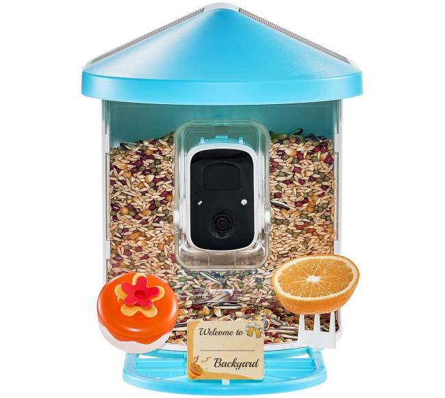 Išmanus paukščių lesykla su kamera ir AI9