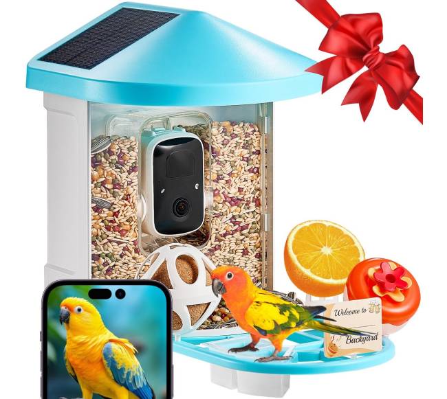 Išmanusis lesyklas su kamera ir AI0