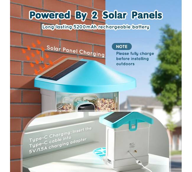 Išmanusis lesyklas su kamera ir AI4