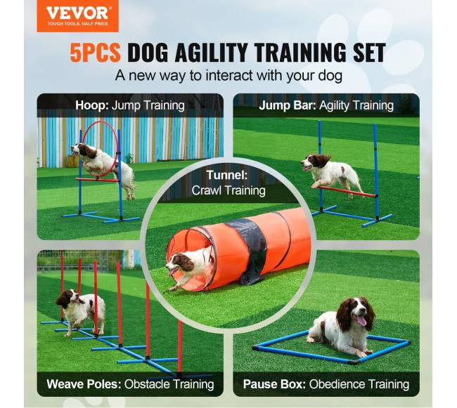 Šunų vikrumo treniruoklių komplektas su ilgu tuneliu1