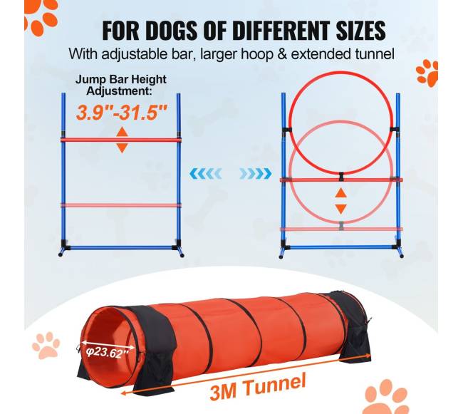 Šunų vikrumo treniruoklių komplektas su ilgu tuneliu3