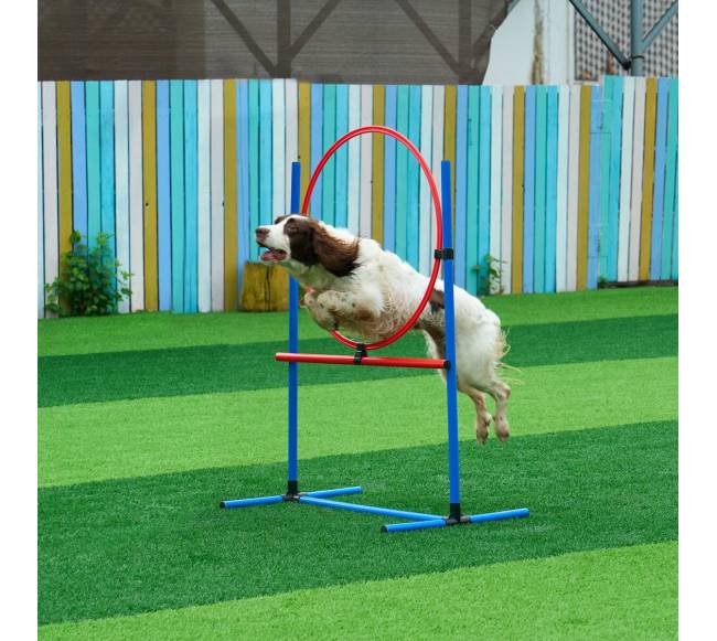 Šunų vikrumo treniruoklių komplektas su ilgu tuneliu7