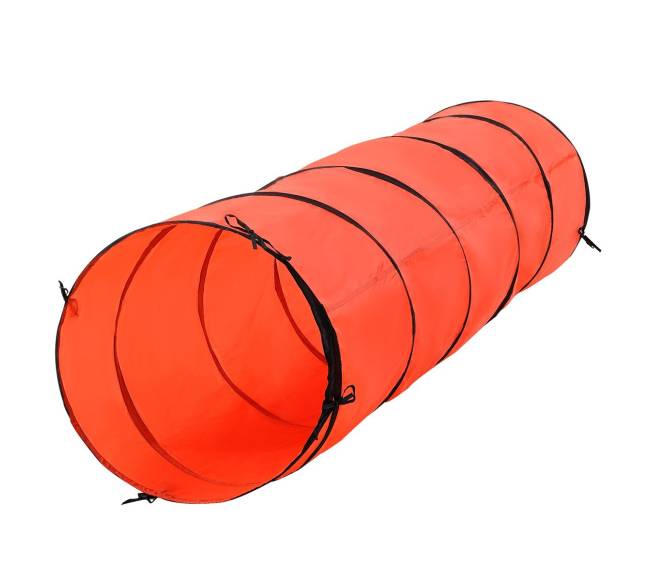 Šunų vikrumo treniruoklių komplektas su ilgu tuneliu8