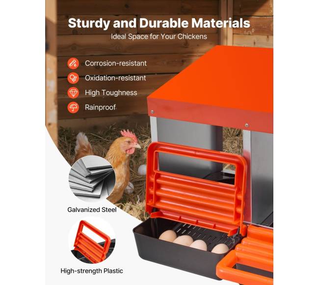 Dešimties skyrių vištų dėžė su nuolydžiu2