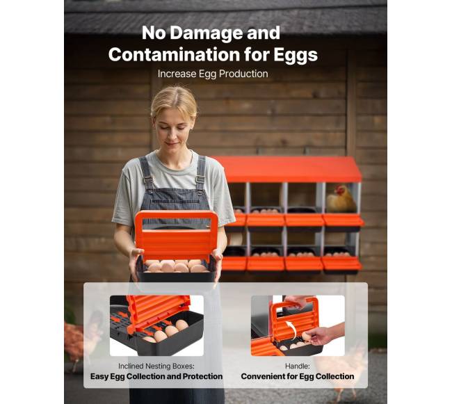 Dešimties skyrių vištų dėžė su nuolydžiu3