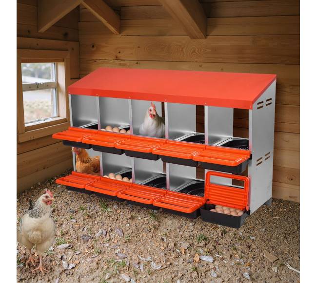 Dešimties skyrių vištų dėžė su nuolydžiu7