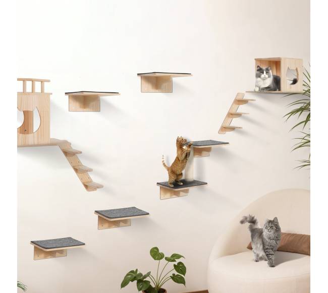 Sieninės katės lentynos su hamakais0