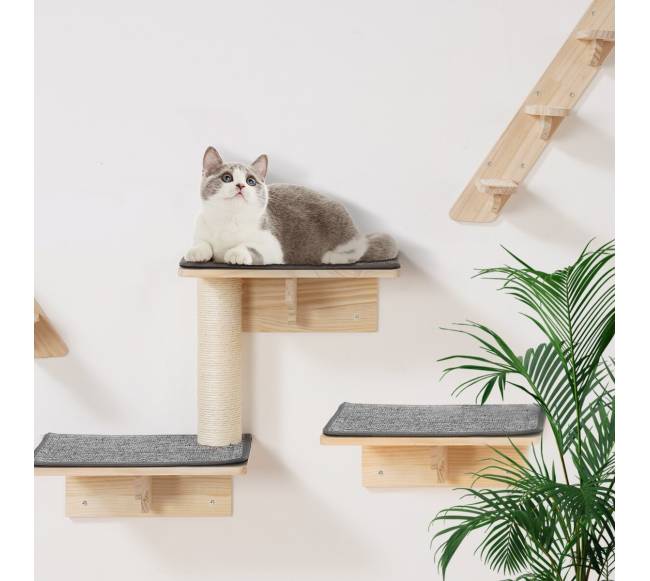 Sieninės katės lentynos su hamakais7