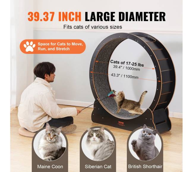 Didelis katės treniruoklio ratas3